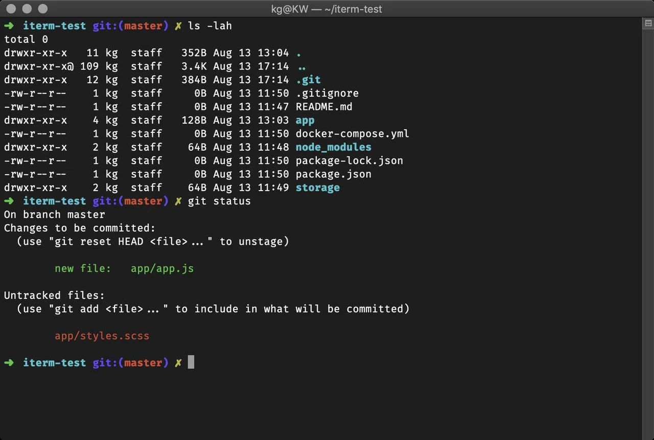 Terminal with Oh My Zsh and syntax highlighting